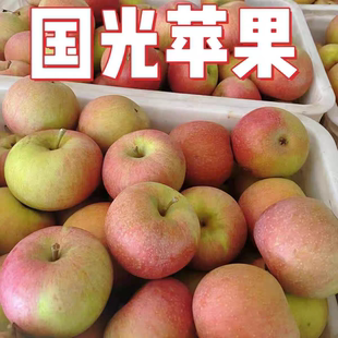 辽宁小国光苹果新鲜当季水果老树果光东北特产酸甜脆苹果笨果