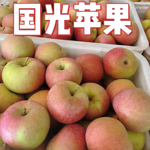 辽宁小国光苹果新鲜当季水果老树果光东北特产酸甜脆苹果笨果