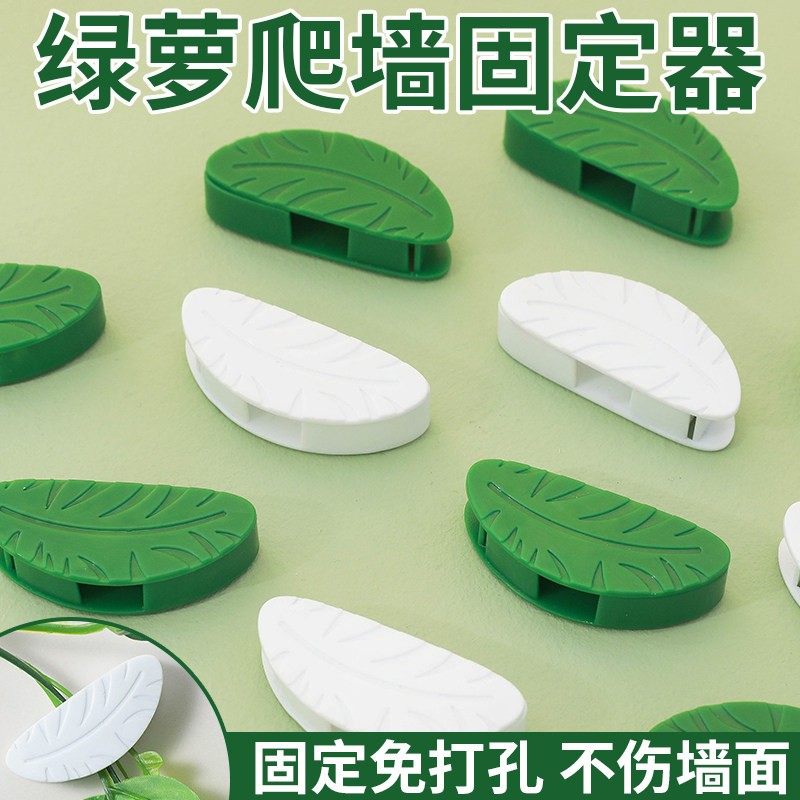 绿萝爬墙固定器防倒扶正器园艺用品叶子杆固定夹爬藤神器攀爬支架,鲜花速递/花卉仿真/绿植园艺,其它园艺用品,淘宝优惠券,粉丝福利购,淘宝优惠卷