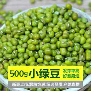 500g东北农家小绿豆 一斤新鲜绿豆 消暑五谷杂粮粗粮 煮粥 糖水