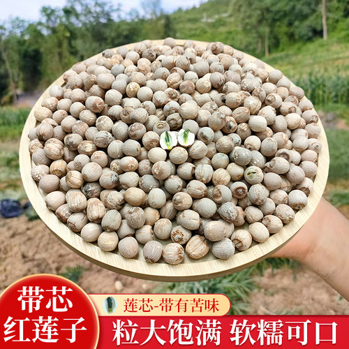 湘百莲正宗湘潭带芯红莲子干货