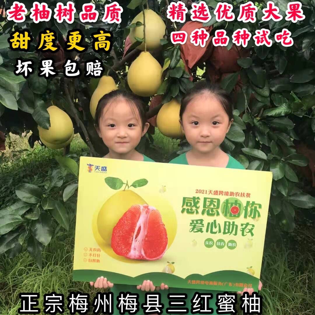 20斤正宗梅州现摘新鲜黄肉白心肉蜜柚红心三红柚孕妇水果10斤5斤|msdalam kategori daging perikanan/Buah-buahan segar dan sayur-sayuran/dimasak, buah-buahan segar, Grapefruit - dari Buy2taobao.com untuk memberikan perkhidmatan ejen Taobao profesional membeli