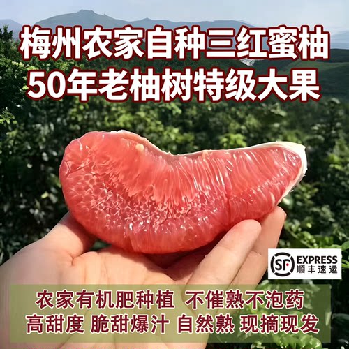 红肉蜜柚白肉孕妇水果现摘现发