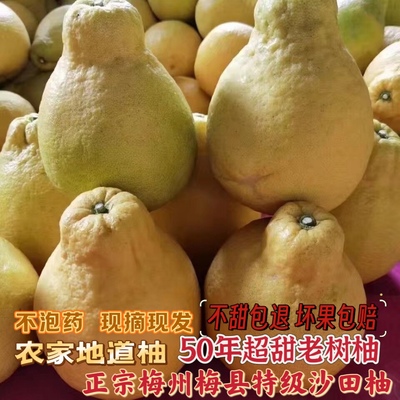 纯甜沙田柚当季纯甜金柚新鲜水果