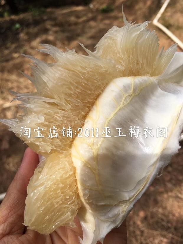 纯甜沙田柚子正宗梅州纯甜沙田柚子金柚白心孕妇甜水果非白柚红心|msdalam kategori daging perikanan/Buah-buahan segar dan sayur-sayuran/dimasak, buah-buahan segar, Grapefruit - dari Buy2taobao.com untuk memberikan perkhidmatan ejen Taobao profesional membeli