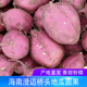 海南桥头地瓜澄迈正宗富硒沙地番薯圆果粉糯香甜新鲜黄心板栗红薯