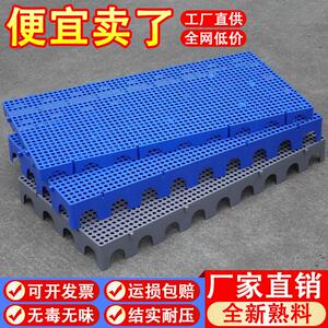 塑料防潮板网格垫板仓库地垫塑胶托盘宠物垫冷库垫仓板驿站防潮垫