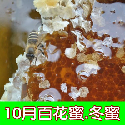百花蜜野生冬季天然土蜂蜜