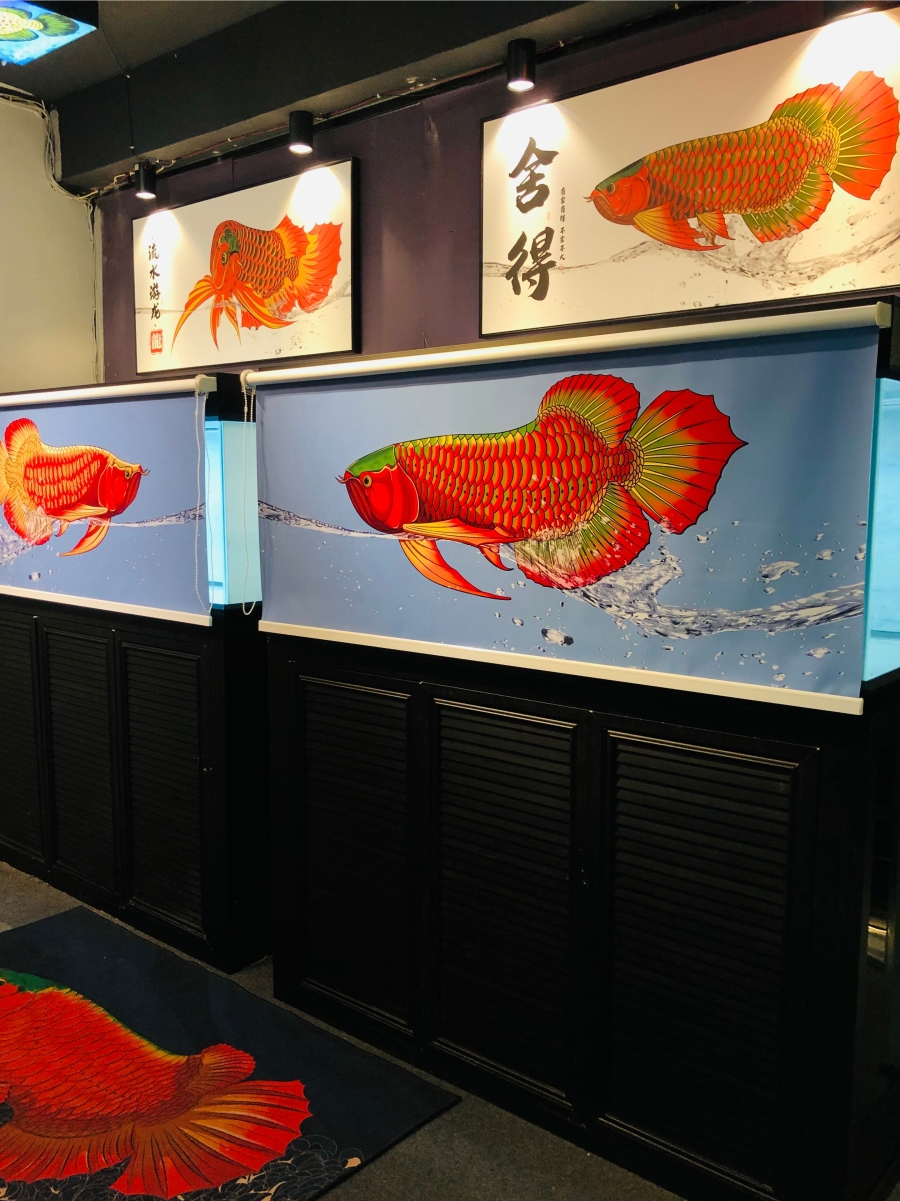 鱼缸遮光帘龙鱼防掉眼侧灯上色聚光免打孔无痕粘贴遮阳移动背景