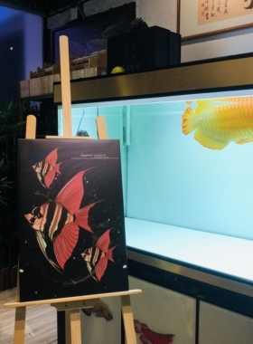 龙鱼装饰画挂画水族虎鱼观赏鱼