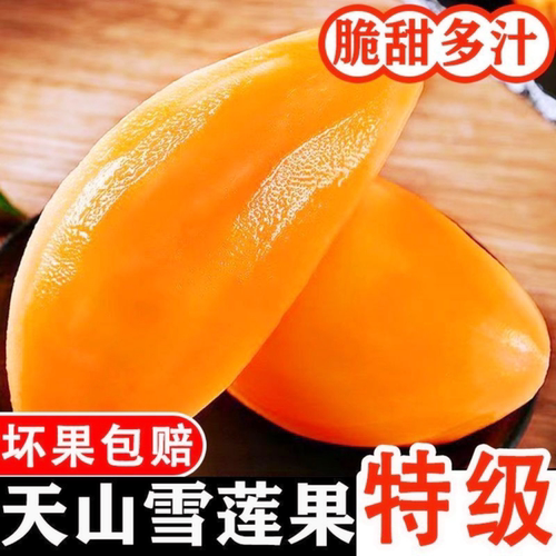 雪莲果新鲜水果正宗云南天山现挖当季黄心低糖孕妇一级红心雪莲果