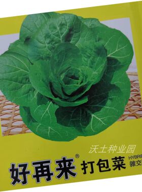 好再来打包菜种子圆叶饭包白菜