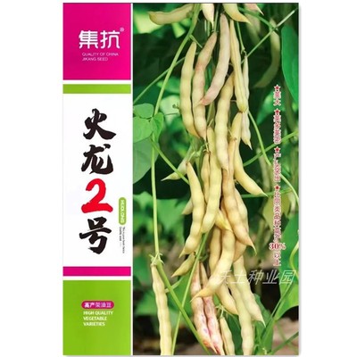 口感特好黄金勾豆角种子新繁高产