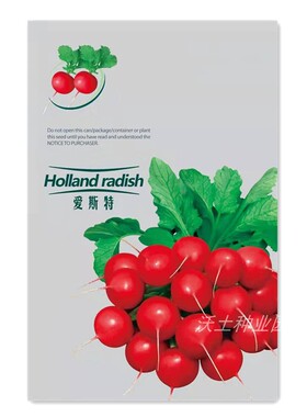 樱桃萝卜种子爱斯特红丁小萝卜绿色蔬菜种子农户基地春秋