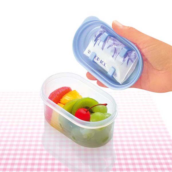日本进口SANADA水果保鲜盒塑料密封盒子食品级小号便当盒附保冷剂