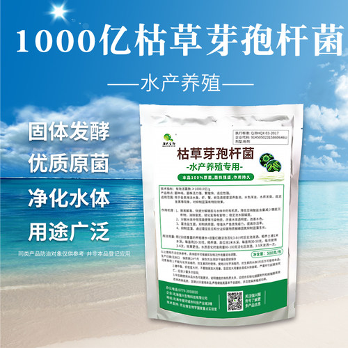 水产枯草芽孢杆菌抑蓝藻改良水质