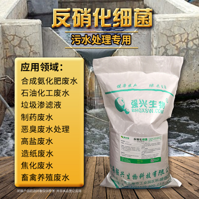 反硝化菌污水处理降氨氮微生物菌