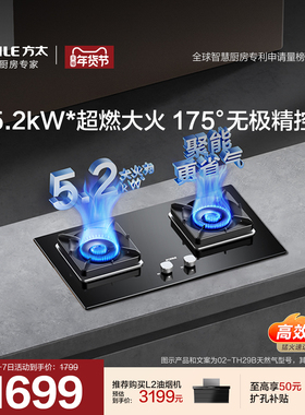 方太02-TH29B/02-TH36B燃气灶煤气双灶嵌入式家用天然气液化猛火