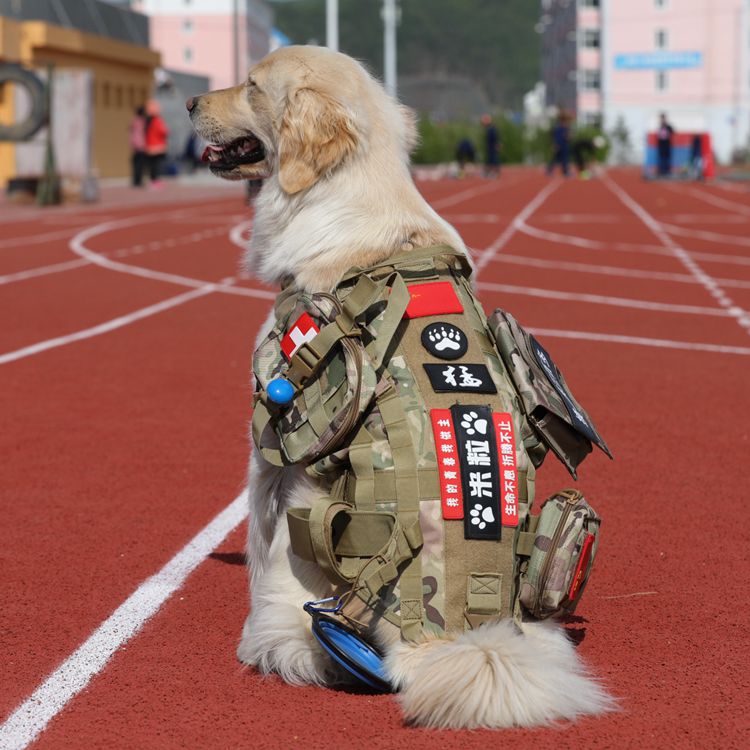 战术四季马甲金毛背带狗衣服背心
