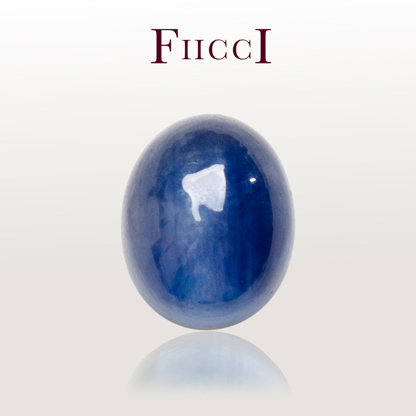 FIICCI菲伊奇 1.16克拉天然蛋面蓝宝石裸石椭圆形素面戒指项链