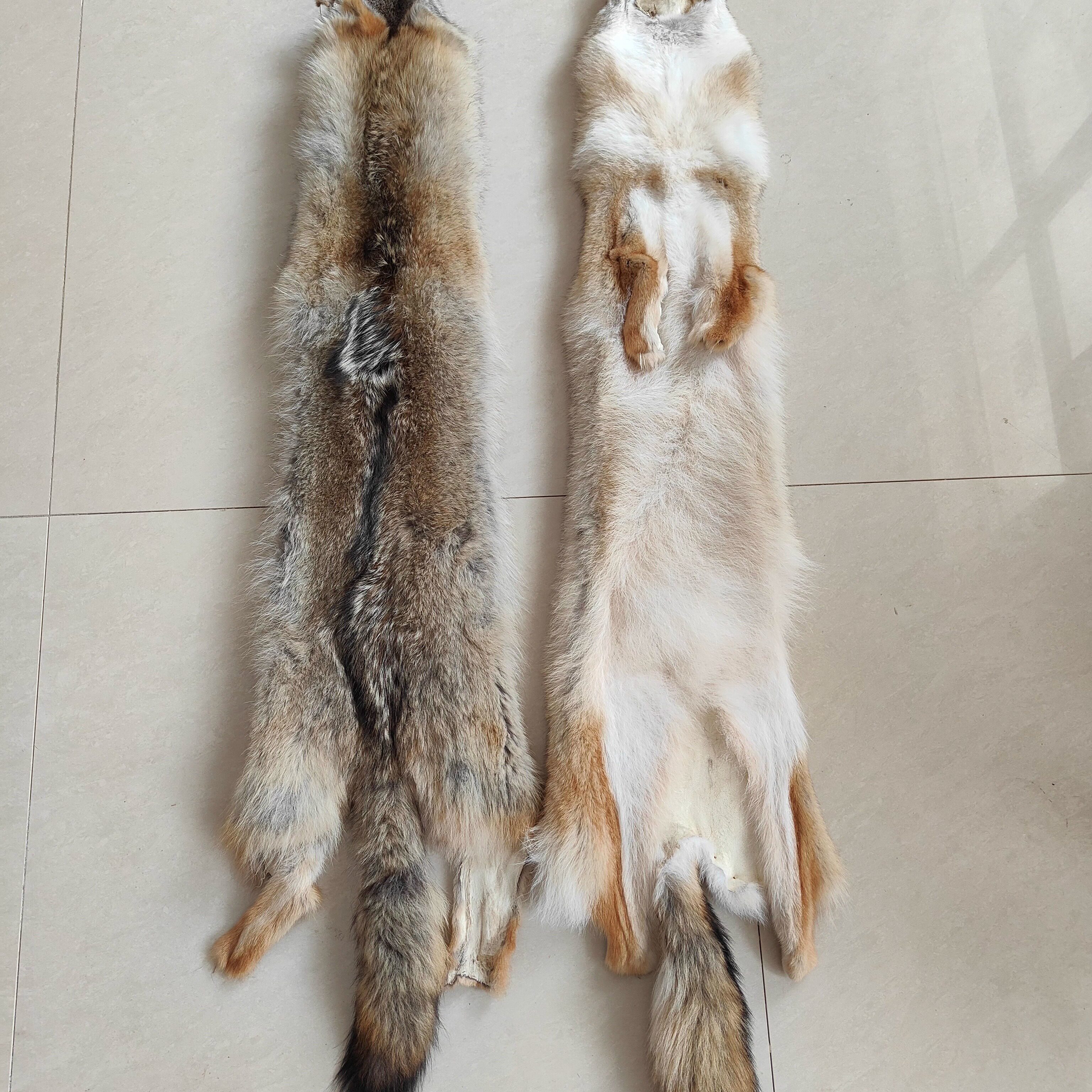 进口北美狼毛皮草整张装饰皮毛一体家居摆件坐垫电影摄影演出道具