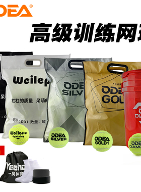 Odear欧帝尔网球V6 DD1 DD2 DD3高弹耐磨初学训练网球耐打60个装