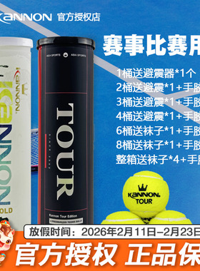 KANNON康龙冠群网球TOUR专业耐打金冠训练球进阶罐装高弹比赛球