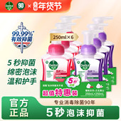 滴露泡沫洗手液250ml 6非补充装 家用泡沫型儿童抑菌非杀菌消毒