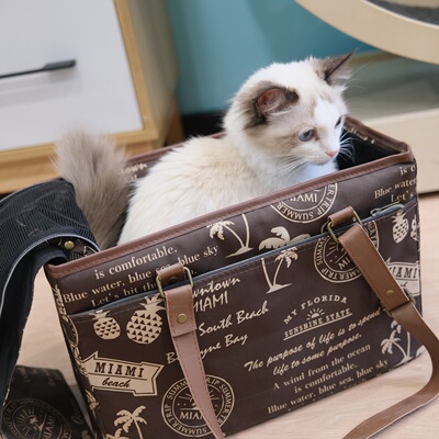 啦调酱 宜德士EDENPETZ宠物外出包便携包单肩背包猫狗包 隐蔽性高