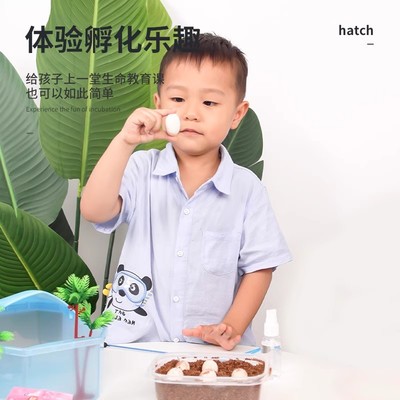 2025网红生日儿童礼物玩具6岁以上一男童益智的10子4小12女孩男孩