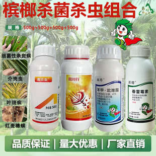 槟榔套组叶斑芽腐炭疽条斑椰心叶甲钻心虫蚂蚁红脉穗螟抖音同款