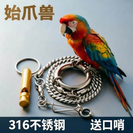 中大型鹦鹉316不锈钢脚环脚链开口不伤鸟金刚亚马逊蛇骨链鸟类用
