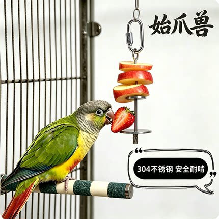 鹦鹉鸟用水果叉子不锈钢蔬菜玉米喂食器挂钩玩具鸟笼配件用品大全