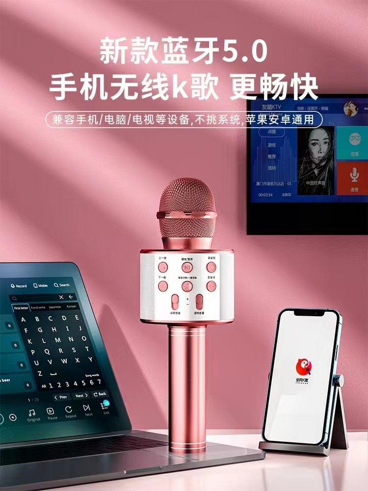 唱放一体自动降噪音箱麦克风