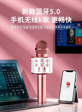 唱放一体自动降噪音箱麦克风