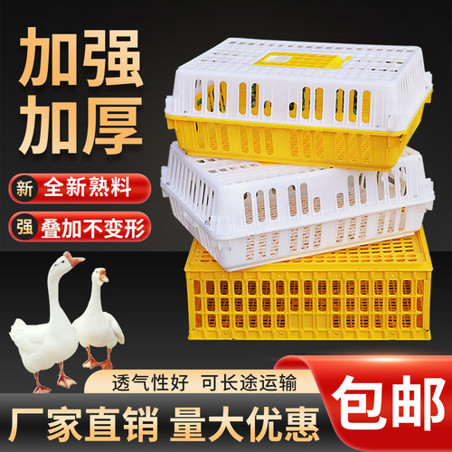 塑料鸡鸭鹅兔笼周转箱
