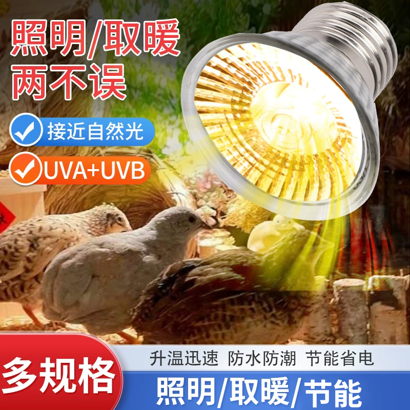 小鸡过冬育雏芦丁神器加热灯泡