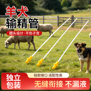狗狗人工受精助孕器输精管狗犬用宠物一次性输精管狗用羊用输精管