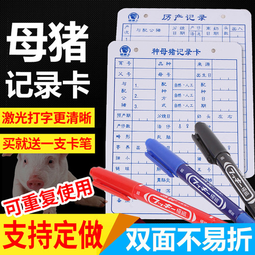 加厚母猪记录卡养猪设备