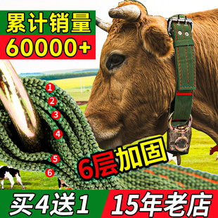 加厚栓牛脖套神器羊用项圈牛脖子套拴牛专用绳子新款 牛龙头套绳子