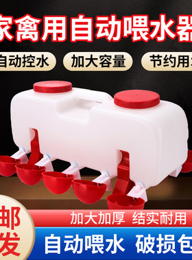 鸡用自动饮水器鸭鹅鸽子喝水碗