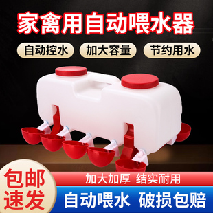 鸡用自动饮水器家禽饮水碗自动喂水器小雏鸡鸽子鹌鹑喝水碗水桶壶