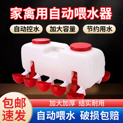 鸡用自动饮水器家禽饮水碗自动喂水器小雏鸡鸽子鹌鹑喝水碗水桶壶