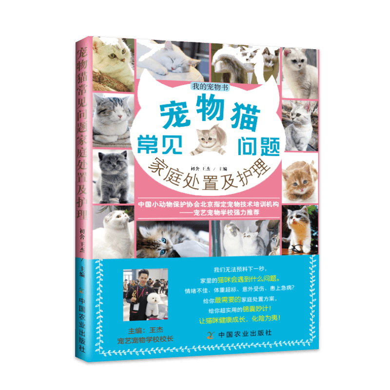 宠物猫常见问题家庭处置护理