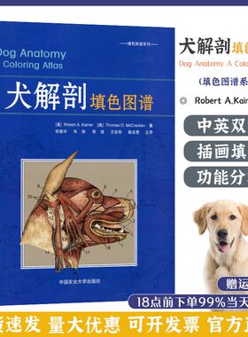 犬解剖填色图谱小动物解剖指引兽医中英双语对照解剖书犬猫临床解剖彩色图谱 Robert A. Kainer 等 著 常建宇 等 译9787565518225
