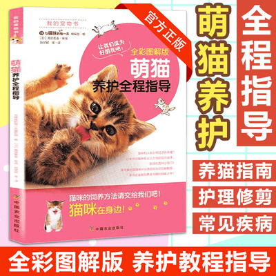 养猫手册全程指导家庭医学百科