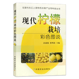 正版现货 现代柠檬栽培彩色图说 柠檬树栽培种植技术大全书籍果树修剪整形果园管理病虫害防治施肥管理书籍种柠檬书籍