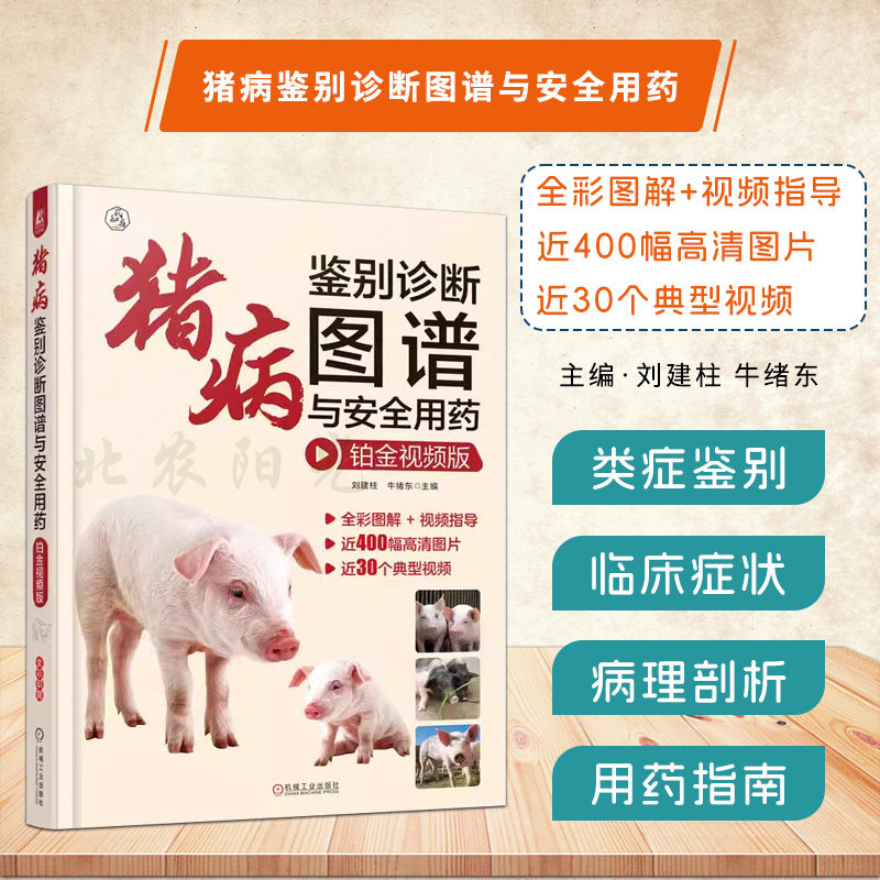 猪病鉴别诊断图谱与安全用药图片