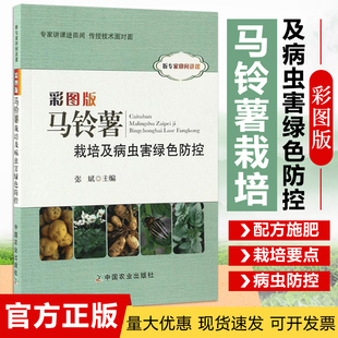 马铃薯高产栽培与加工技术 马铃薯土豆栽培种植技术书籍 马铃薯栽培及病虫害绿色防控 彩图版 马铃薯高效生产营养与配方施肥