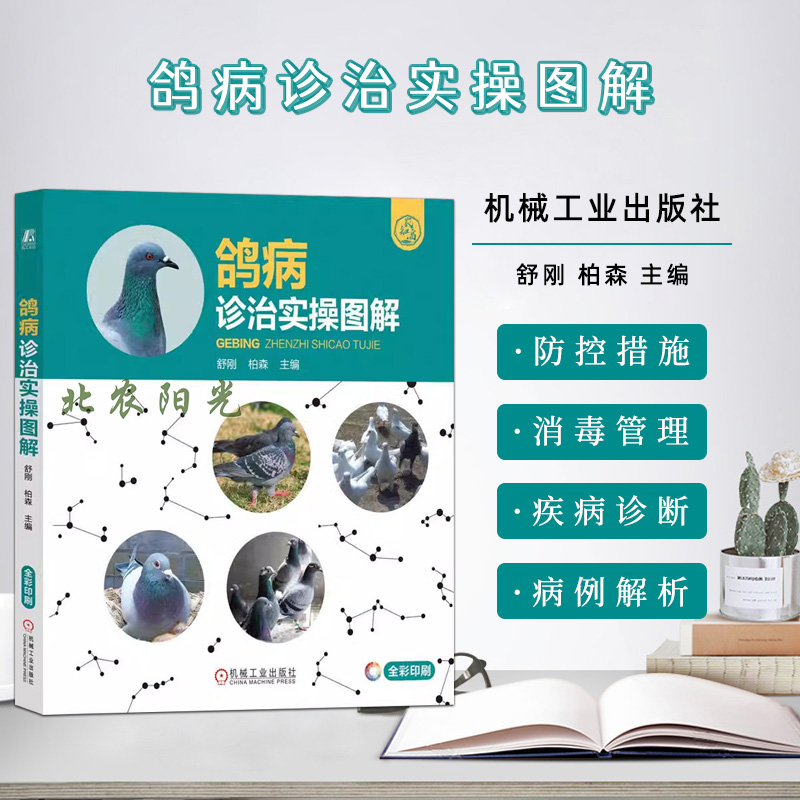 鸽病诊治实操图解鸽病养殖